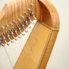 Curly maple trim on curly maple harp