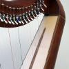 Caribbean rosewood trim on curly cherry w/georgian cherry stain harp